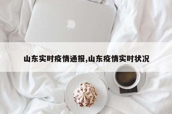 山东实时疫情通报,山东疫情实时状况