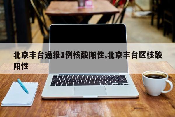 北京丰台通报1例核酸阳性,北京丰台区核酸阳性